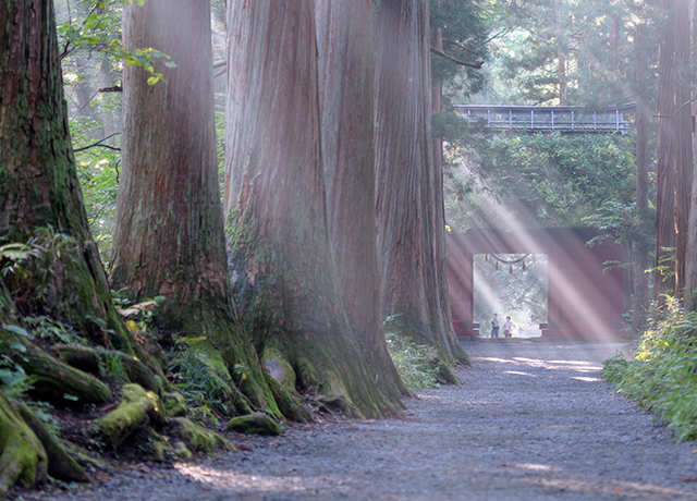 五社めぐり｜戸隠神社